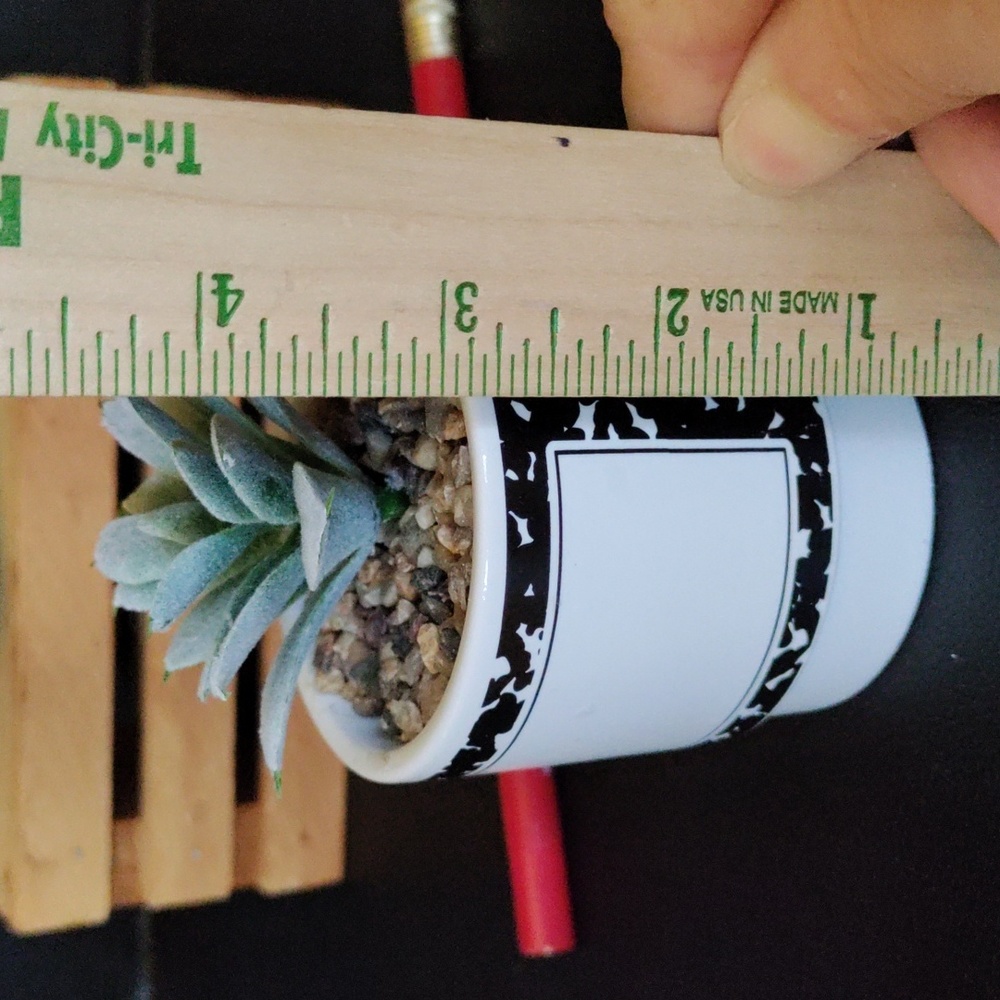Planter for teacher with faux succulent - Picture 8 of 10